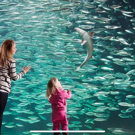 アパート The Jugend Loft